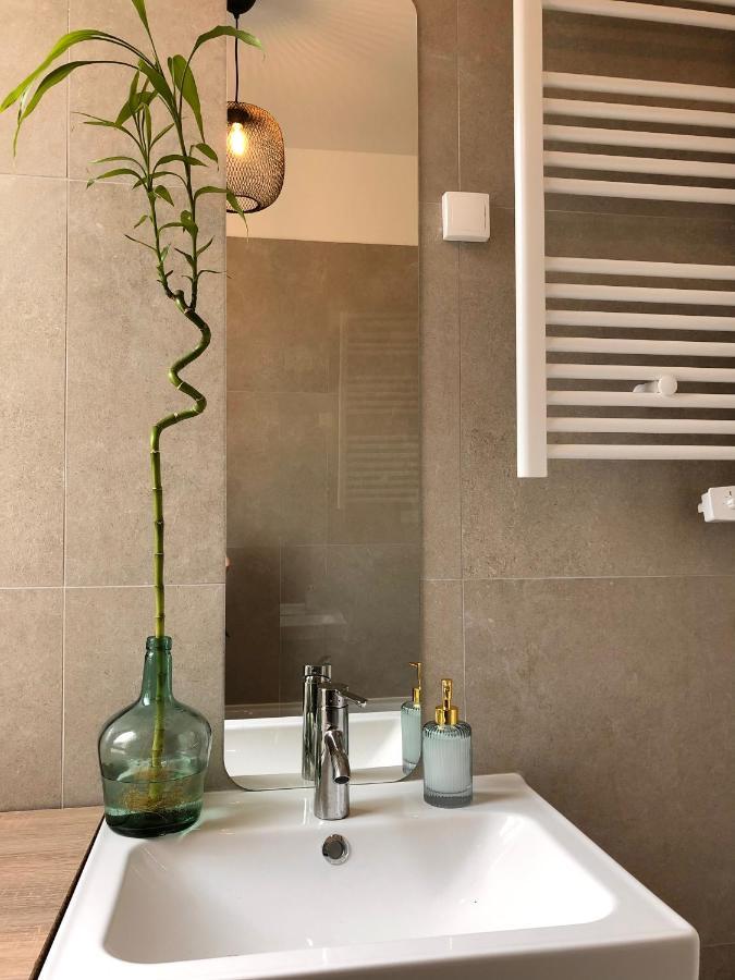סומור Le Tanin -Appartement Entier Avec Balcon מראה חיצוני תמונה